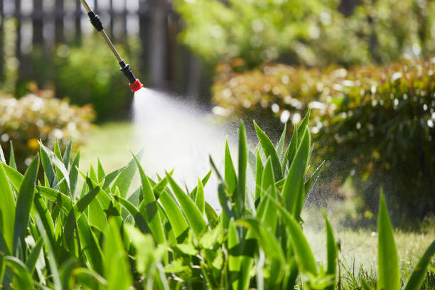 24/7 Emergency Mosquito Control experts in Sault Ste. Marie, MI