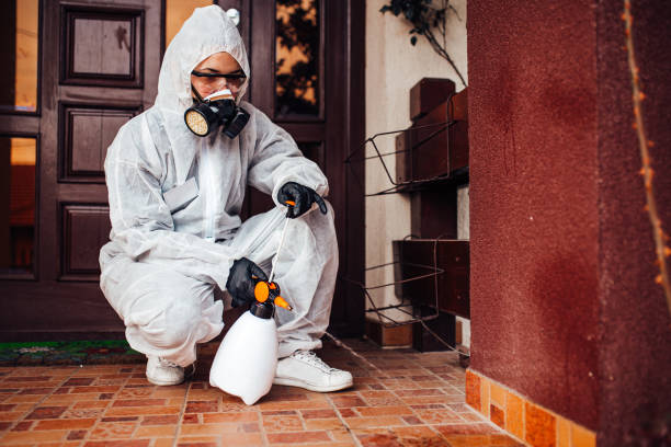 Reliable Mosquito Control contractor in Sault Ste. Marie, MI by Show Me Pest Control