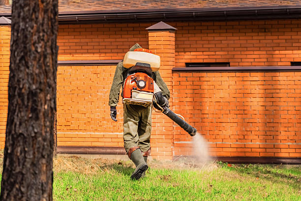 Top rated local Mosquito Control specialists in Sault Ste. Marie, MI